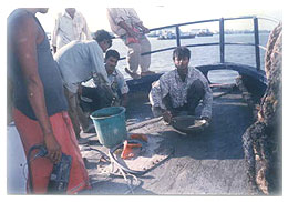 MARINE APPLICATIONS